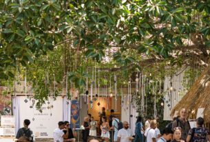 Festival Jia Curated