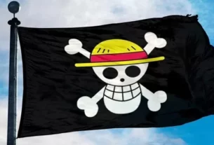 bendera One Piece