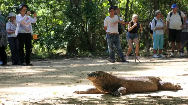 Pulau Komodo