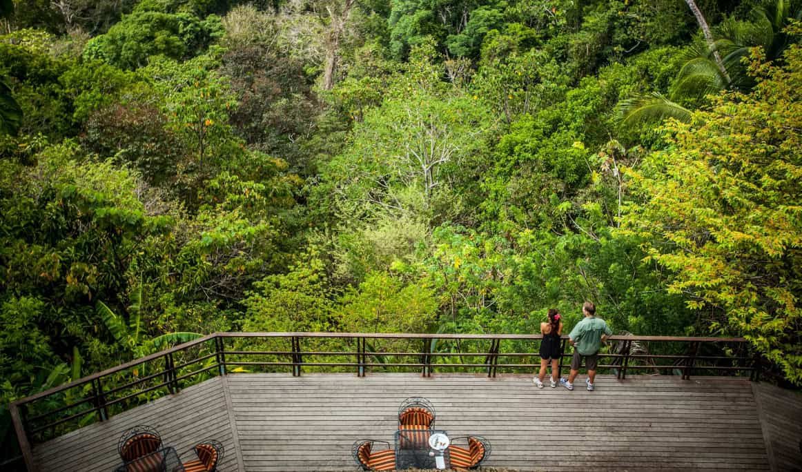 wisata hijau